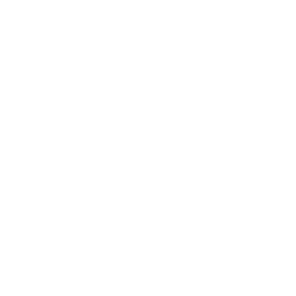 Flinders University White Logo